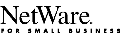 Netware Small Business Server